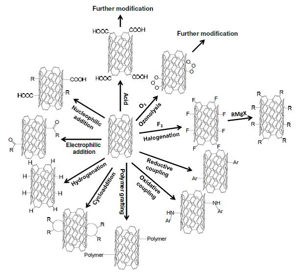 SWCNT FUNCTIONAL GROUPS GRAFTING