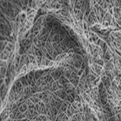 Supercapacitor Electrode Materials SWNT Single Walled Carbon Nanotubes