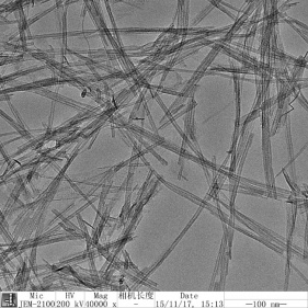 Titanium oxide nanotubes