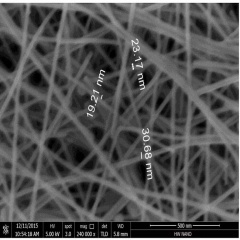 Silver Nanowires AgNWs