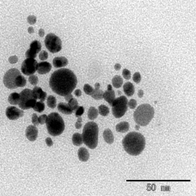  silver nanoparticles