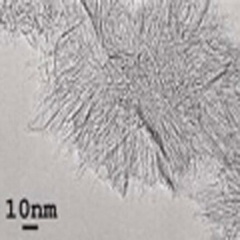 Single-walled Carbon Nanohorns SWNHs for Fuel Cells used