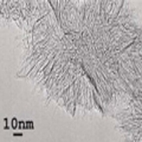 High Specific Area Carbon Nanohorns Used in Drug Carrier