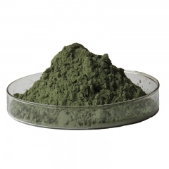 Silicon Carbide Powder