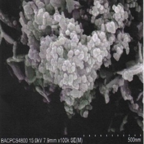 Light Yellow Bismuth Oxide Bi2O3 Nanoprticles