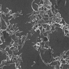 Hydroxylated carbon nanotubes