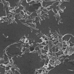 Hydrophilic Hydroxyl group modified multiwalled carbon nanotubes Hydroxylated MWCNT