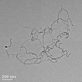 Transparent Conductive Film SWCNTs