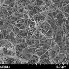 Boron Nitride Nanotubes