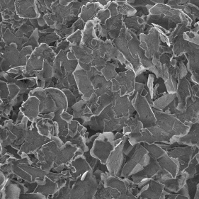 Boron Nitride Nanosheets
