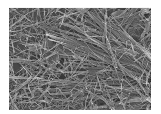 Nano Vanadium Dioxide Materials: A Comprehensive Guide to Monoclinic Particles, W-Doped, and Nanowires