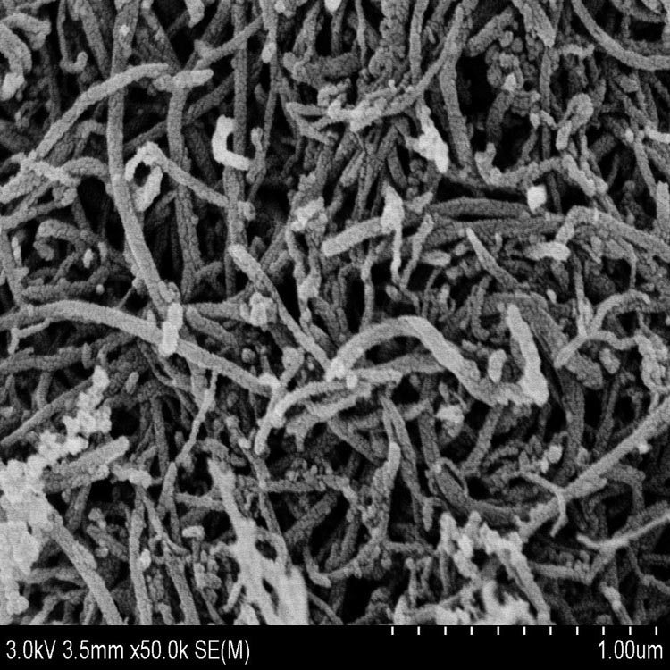 Surface Functionalization of Multi-Walled Carbon nanotubes and Applications