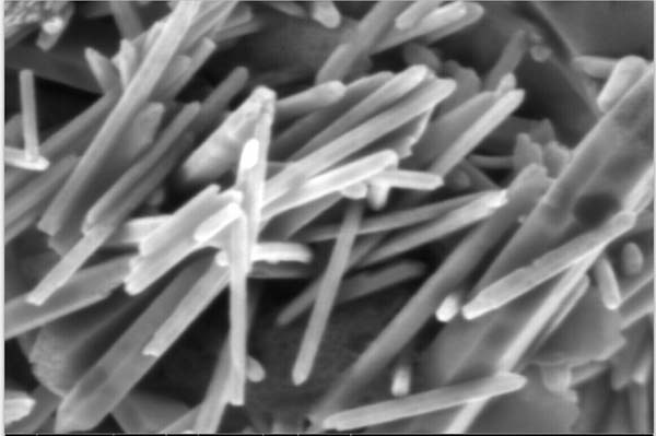 Growth of ZnO nanowire arrays on microfibers