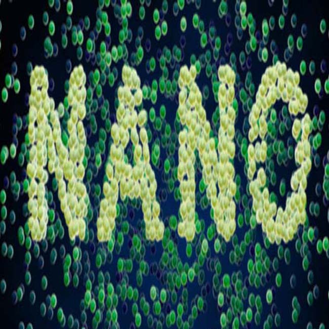 Ubiquitous Nanoparticles & Nanopowders in life