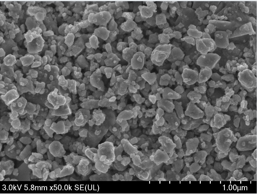 Phase-Smart VO₂: The Material That Thinks in Temperature